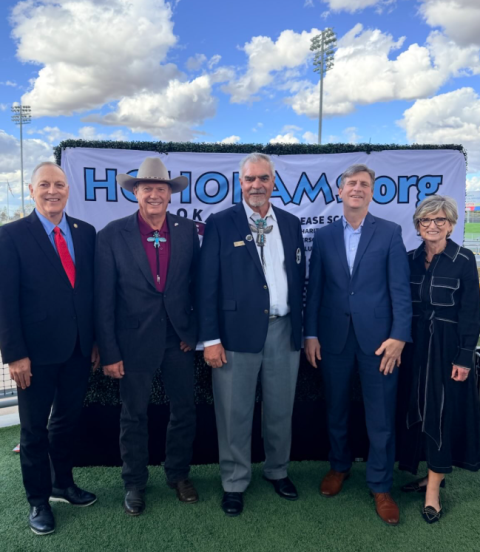 Mesa_Hohokams.png Image