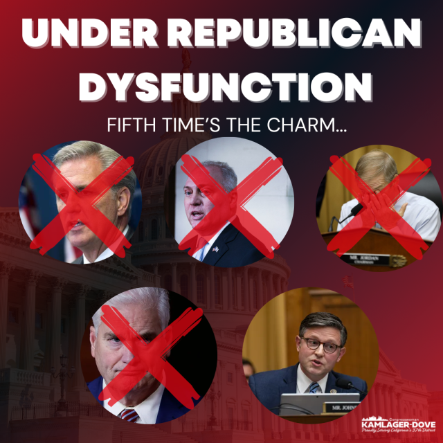 speaker_vote_graphic.png Image