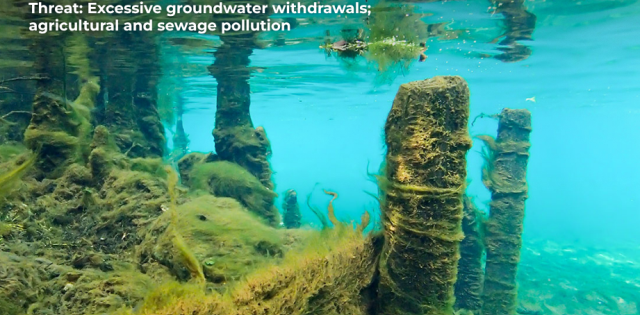 River_pollution.png Image