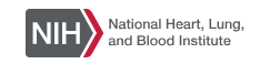 2024.9.13_HL_B_Institute_logo.png Image