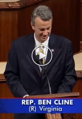 Cline__All_Star_Darlings_House_Floor.jpg Image