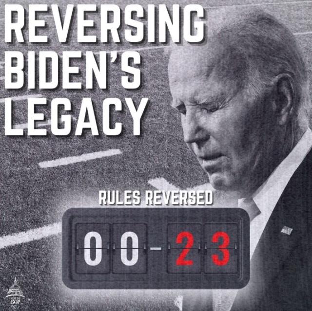 Screenshot_2025-11-20_163717.jpg Image