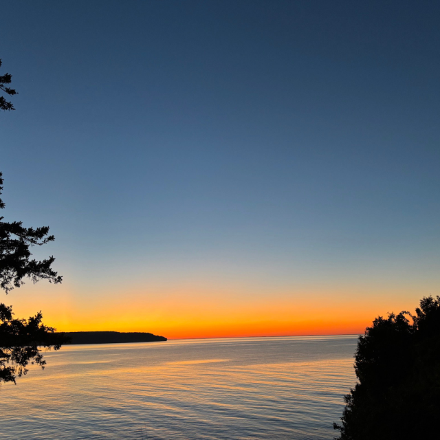 summers_coming.png Image