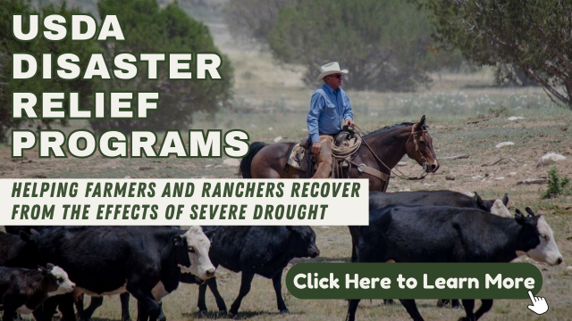 7.20.26_USDA_Disaster_Relief.png Image