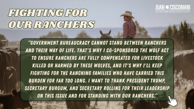 9.8.26_Mexican_Gray_Wolf-2.png Image
