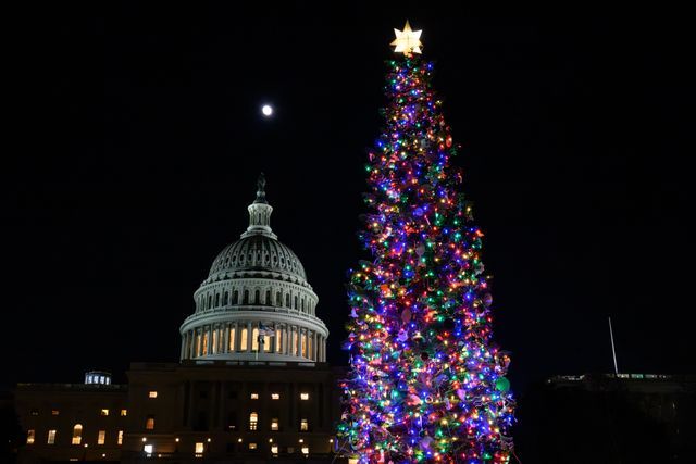 A Christmas Tree in Front of the US Capitol 