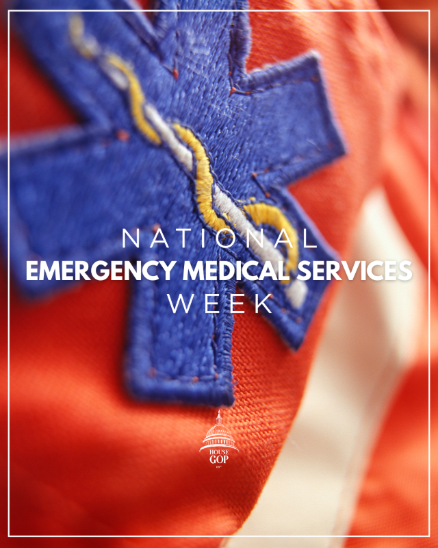 National_EMS_Day_.png Image